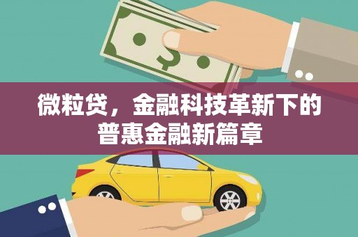 嘉黎微粒贷，金融科技革新下的普惠金融新篇章