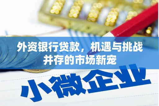 嘉黎外资银行贷款，机遇与挑战并存的市场新宠