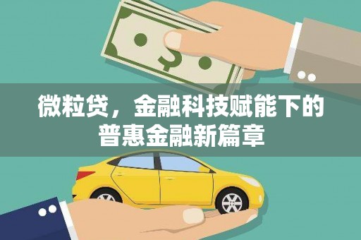 嘉黎微粒贷，金融科技赋能下的普惠金融新篇章
