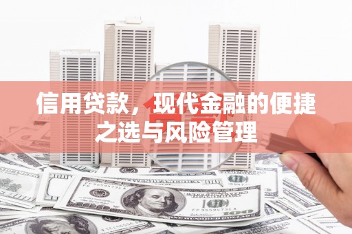 嘉黎信用贷款，现代金融的便捷之选与风险管理
