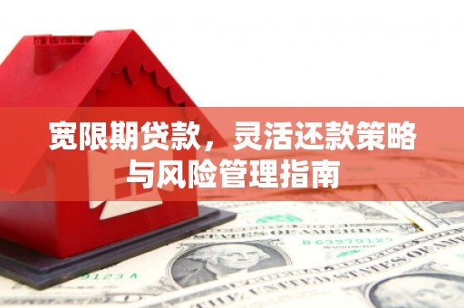 嘉黎宽限期贷款，灵活还款策略与风险管理指南