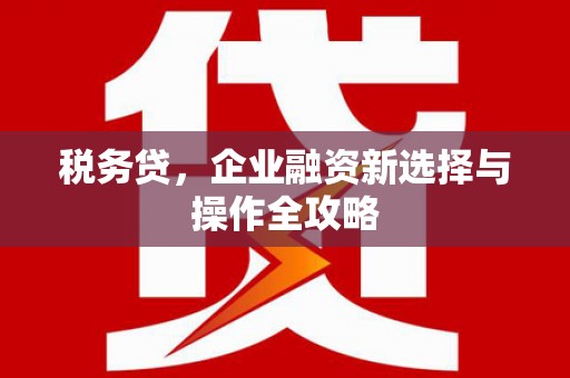 嘉黎税务贷，企业融资新选择与操作全攻略