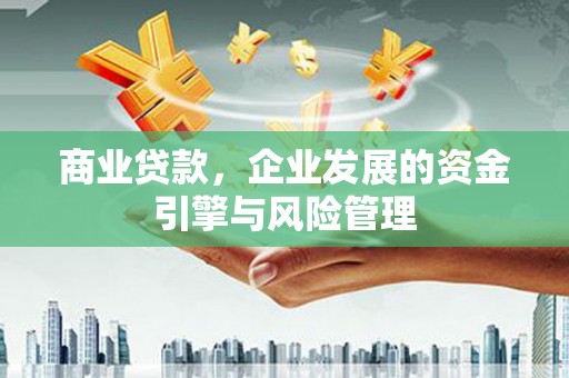 嘉黎商业贷款，企业发展的资金引擎与风险管理