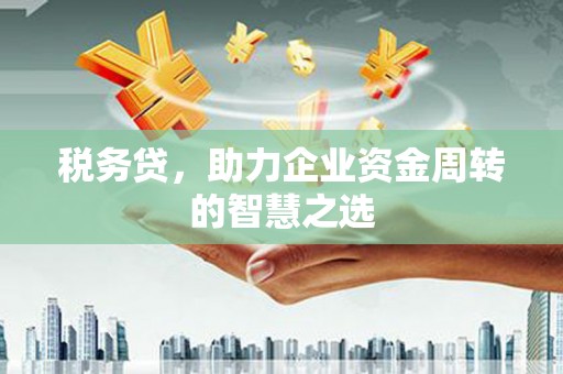 嘉黎税务贷，助力企业资金周转的智慧之选