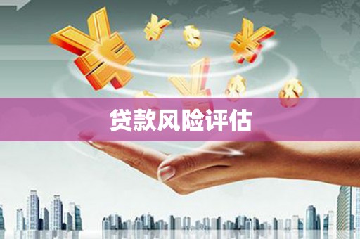 嘉黎贷款风险评估