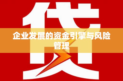 嘉黎企业发展的资金引擎与风险管理