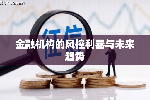 嘉黎金融机构的风控利器与未来趋势
