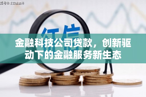 嘉黎金融科技公司贷款，创新驱动下的金融服务新生态