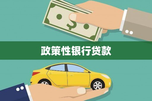 嘉黎政策性银行贷款