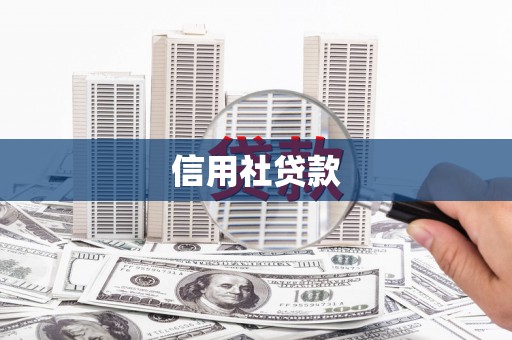 嘉黎信用社贷款