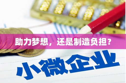 嘉黎助力梦想，还是制造负担？
