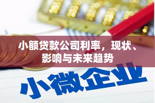 嘉黎小额贷款公司利率，现状、影响与未来趋势