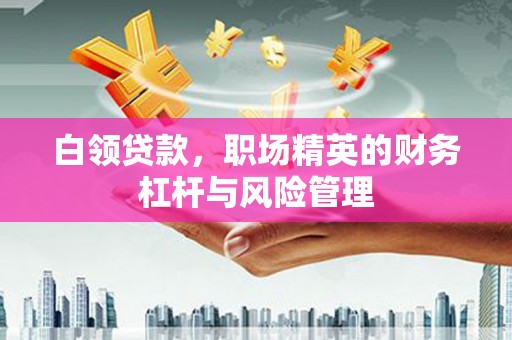 嘉黎白领贷款，职场精英的财务杠杆与风险管理
