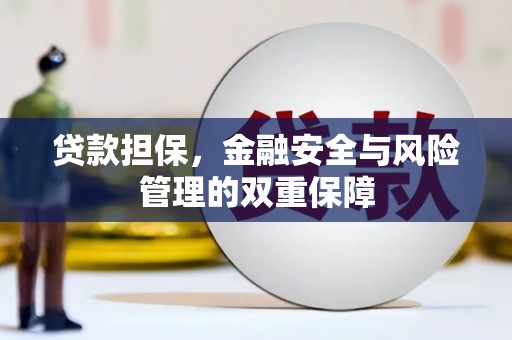 嘉黎贷款担保，金融安全与风险管理的双重保障