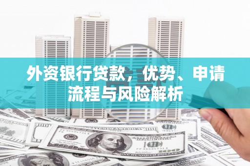 嘉黎外资银行贷款，优势、申请流程与风险解析