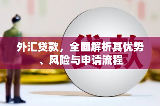 嘉黎外汇贷款，全面解析其优势、风险与申请流程