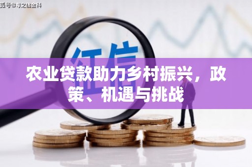 嘉黎农业贷款助力乡村振兴，政策、机遇与挑战
