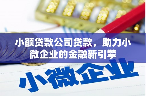 嘉黎小额贷款公司贷款，助力小微企业的金融新引擎