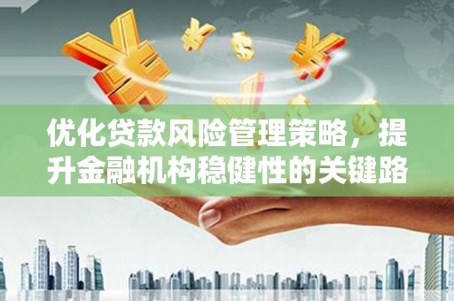 嘉黎优化贷款风险管理策略，提升金融机构稳健性的关键路径