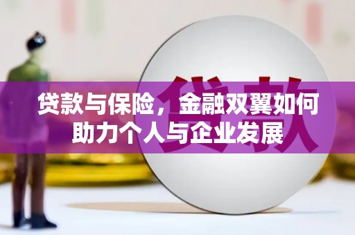 嘉黎贷款与保险，金融双翼如何助力个人与企业发展