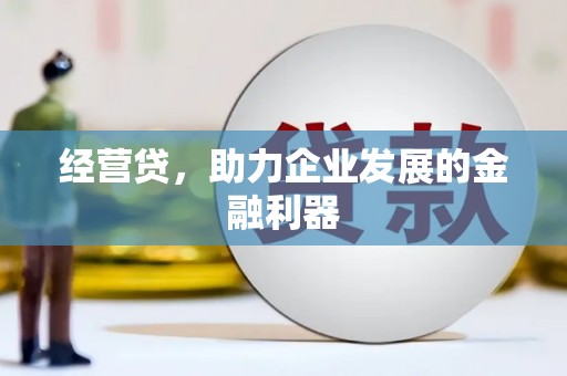 嘉黎经营贷，助力企业发展的金融利器
