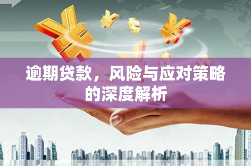 嘉黎逾期贷款，风险与应对策略的深度解析