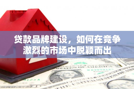 嘉黎贷款品牌建设，如何在竞争激烈的市场中脱颖而出