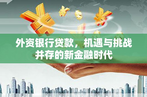嘉黎外资银行贷款，机遇与挑战并存的新金融时代