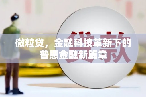 嘉黎微粒贷，金融科技革新下的普惠金融新篇章