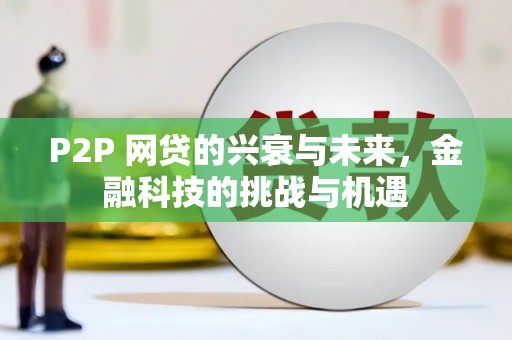 嘉黎P2P 网贷的兴衰与未来，金融科技的挑战与机遇
