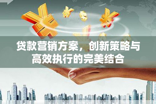 嘉黎贷款营销方案，创新策略与高效执行的完美结合