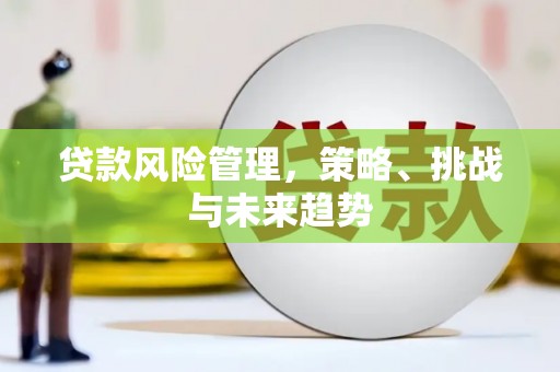 嘉黎贷款风险管理，策略、挑战与未来趋势