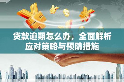嘉黎贷款逾期怎么办，全面解析应对策略与预防措施