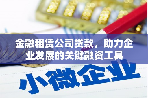 嘉黎金融租赁公司贷款，助力企业发展的关键融资工具