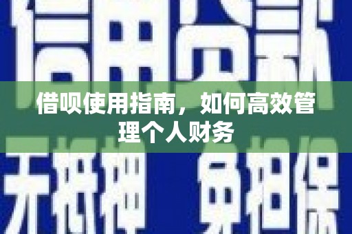 嘉黎借呗使用指南，如何高效管理个人财务