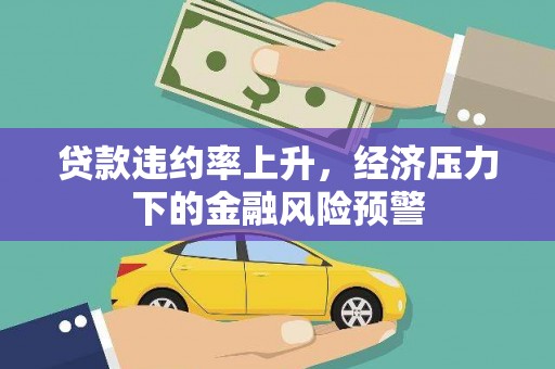嘉黎贷款违约率上升，经济压力下的金融风险预警