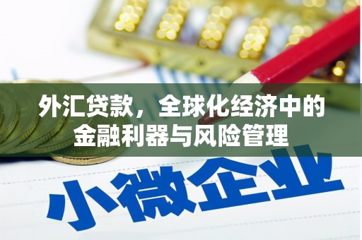 嘉黎外汇贷款，全球化经济中的金融利器与风险管理