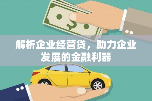 嘉黎解析企业经营贷，助力企业发展的金融利器
