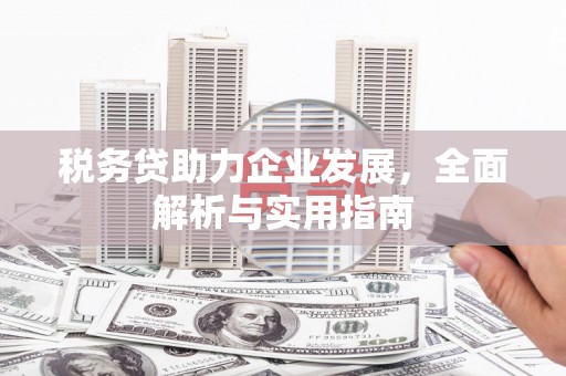嘉黎税务贷助力企业发展，全面解析与实用指南