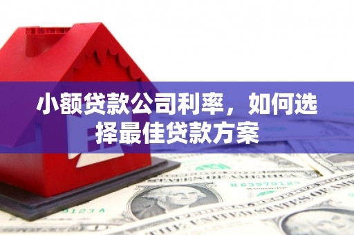 嘉黎小额贷款公司利率，如何选择最佳贷款方案