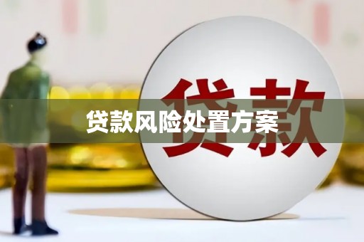 嘉黎贷款风险处置方案