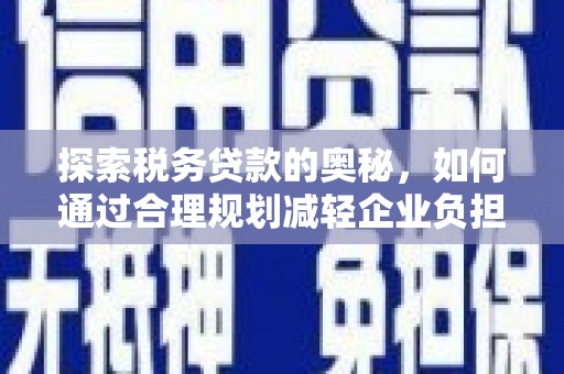 嘉黎探索税务贷款的奥秘，如何通过合理规划减轻企业负担