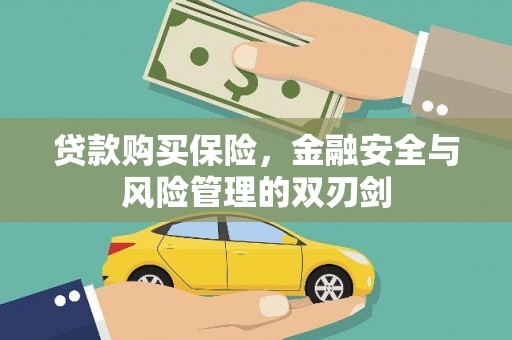 嘉黎贷款购买保险，金融安全与风险管理的双刃剑