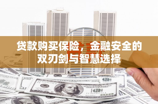 嘉黎贷款购买保险，金融安全的双刃剑与智慧选择