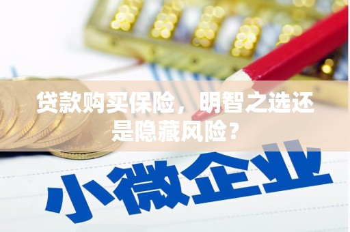 嘉黎贷款购买保险，明智之选还是隐藏风险？