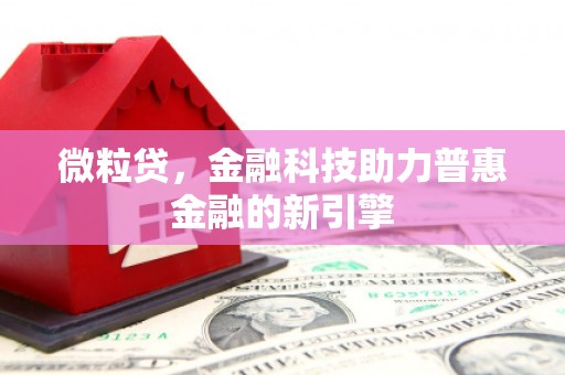 嘉黎微粒贷，金融科技助力普惠金融的新引擎