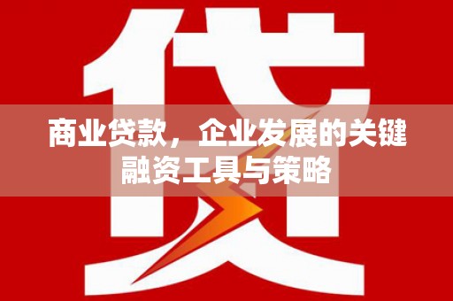 嘉黎商业贷款，企业发展的关键融资工具与策略