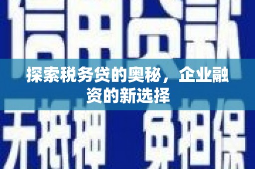 嘉黎探索税务贷的奥秘，企业融资的新选择
