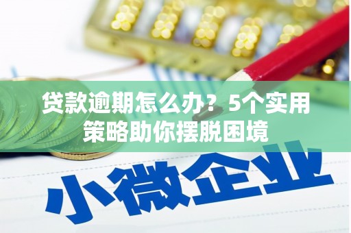 嘉黎贷款逾期怎么办？5个实用策略助你摆脱困境