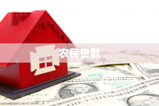 嘉黎农民贷款
